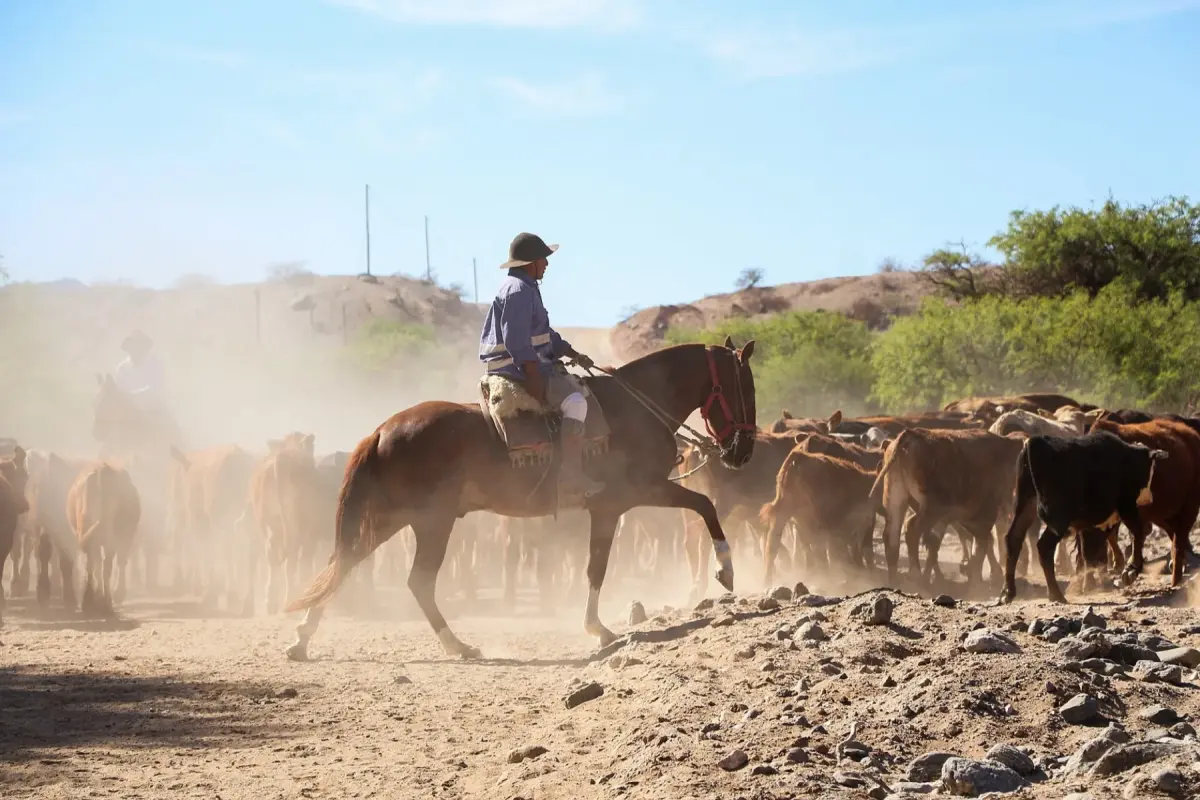 Spend a Day with Real Gauchos