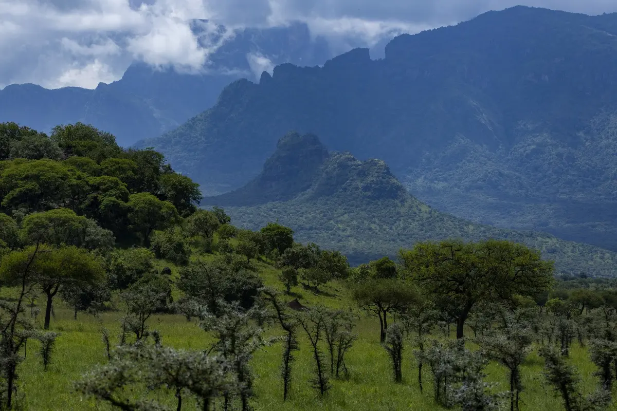 Misty green mountains at dawn