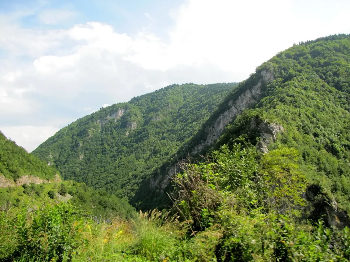 The Valley That Was Planted for One Woman