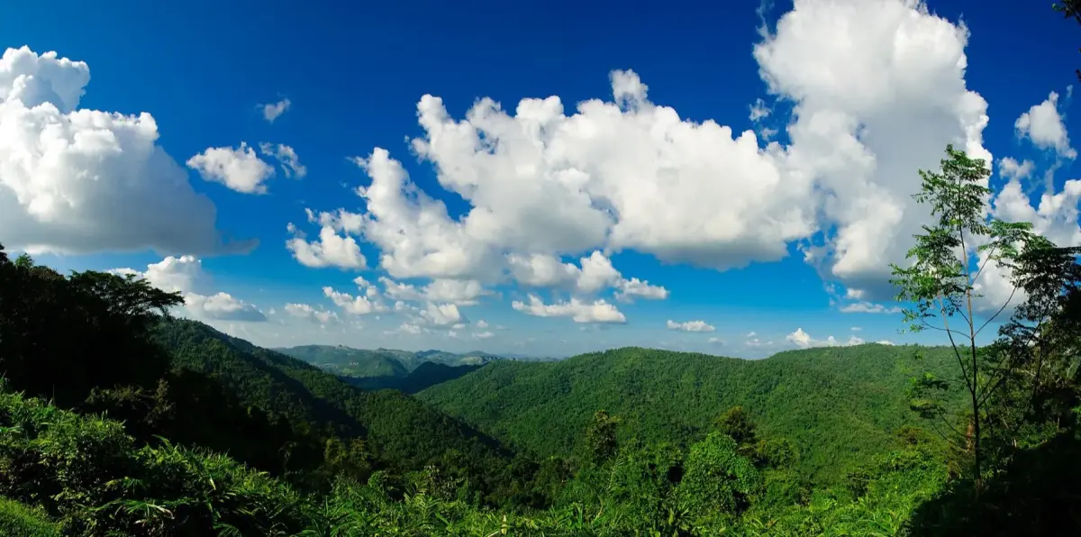 When the Tourists Leave: Khao Yai After Dark