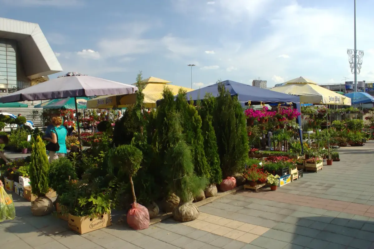The Flavours of Novi Sad: A City Told Through Its Food