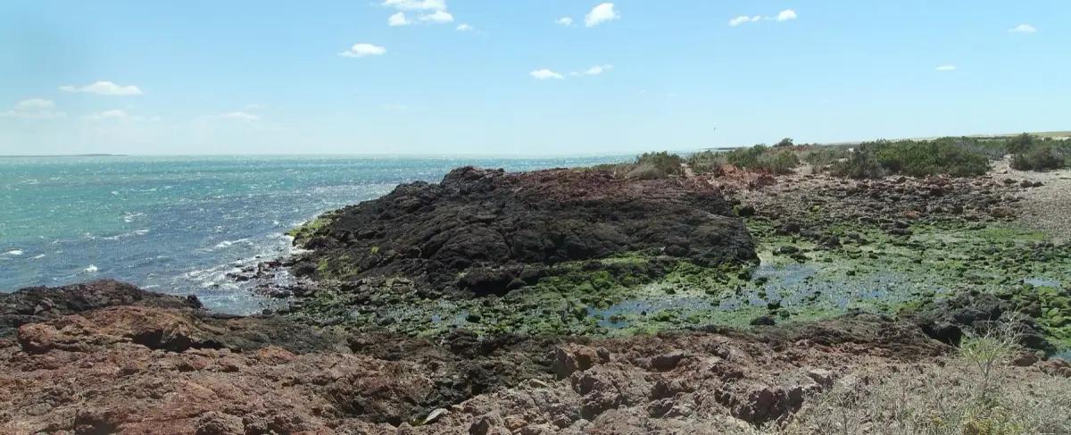 Punta Tombo: Everything You Need to Know Before You Go