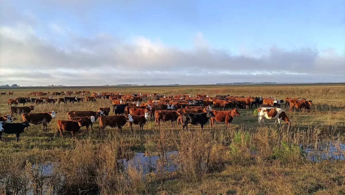 Who Are the Gauchos, and Why Is It Impossible to Understand Argentina Without Them?
